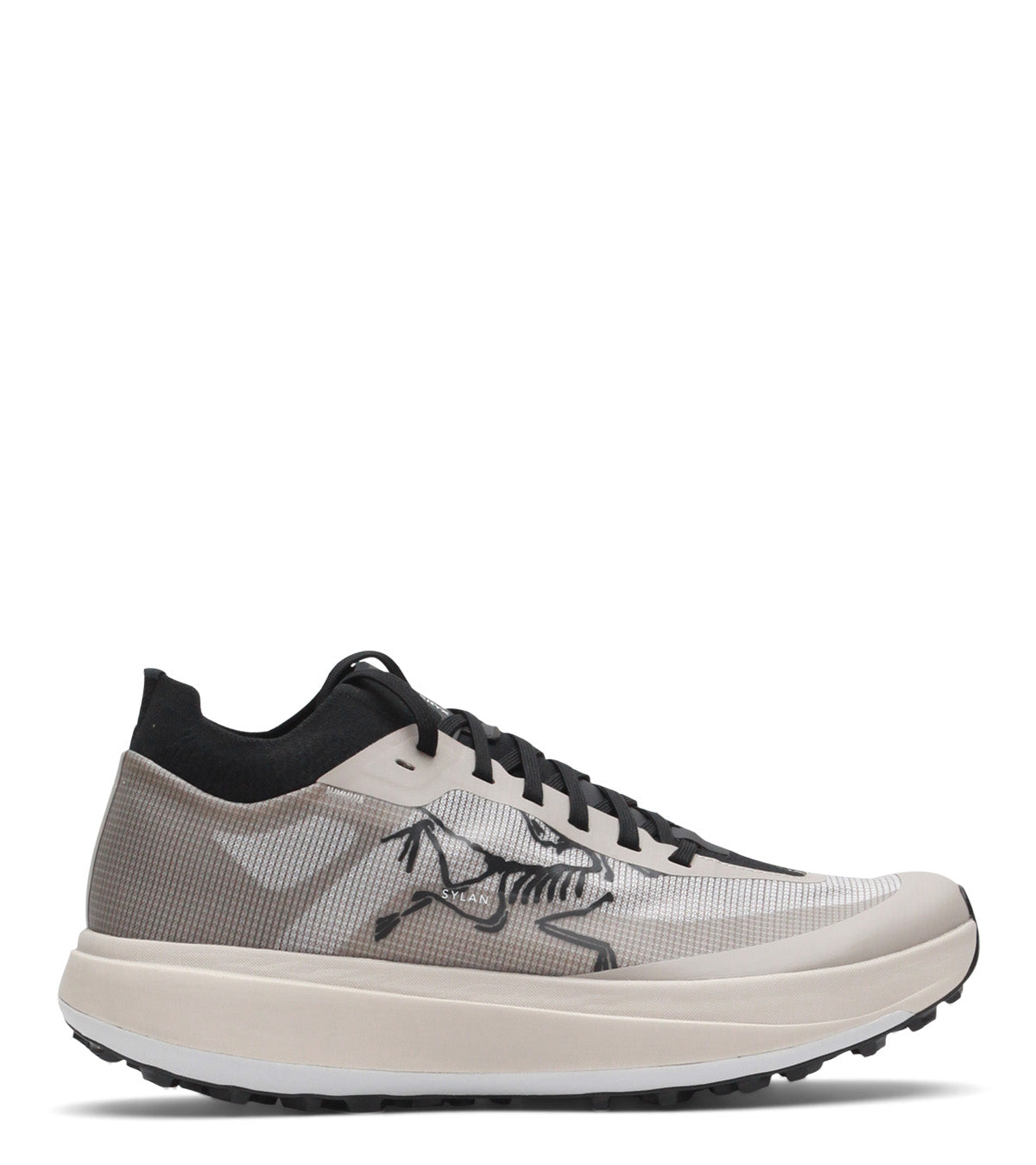 Arc'teryx Sylan Pro Rune