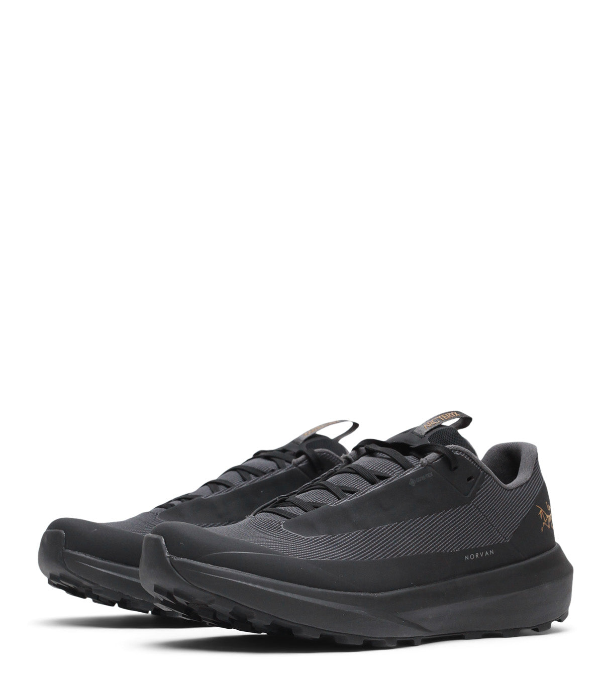 Arc'teryx Norvan LD 4 GTX Black