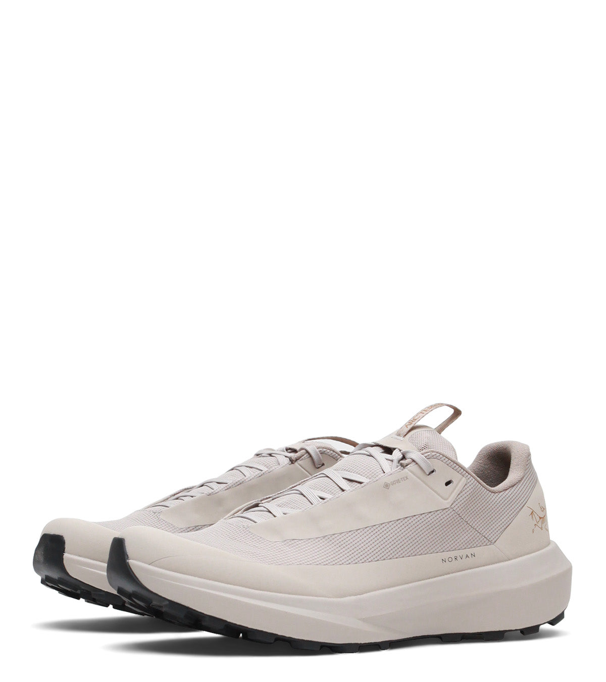 Arc'teryx Norvan LD 4 GTX Rune