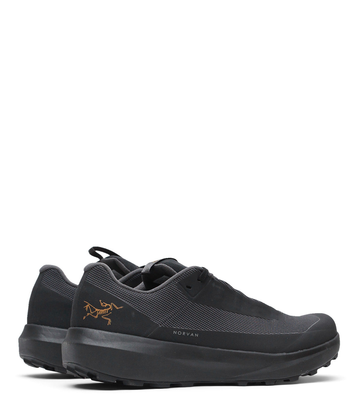 Arc'teryx Norvan LD 4 GTX Black