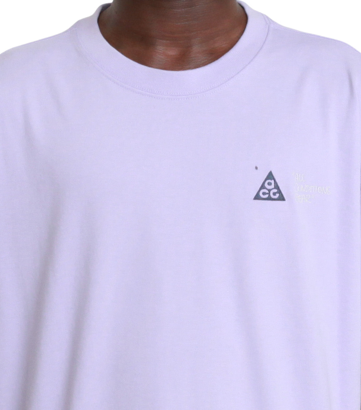 Nike ACG Men's Dri-Fit T-Shirt Hydrangeas
