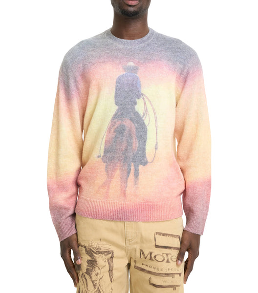 One Of These Days But That Was A Dream Knit Sweater Multi