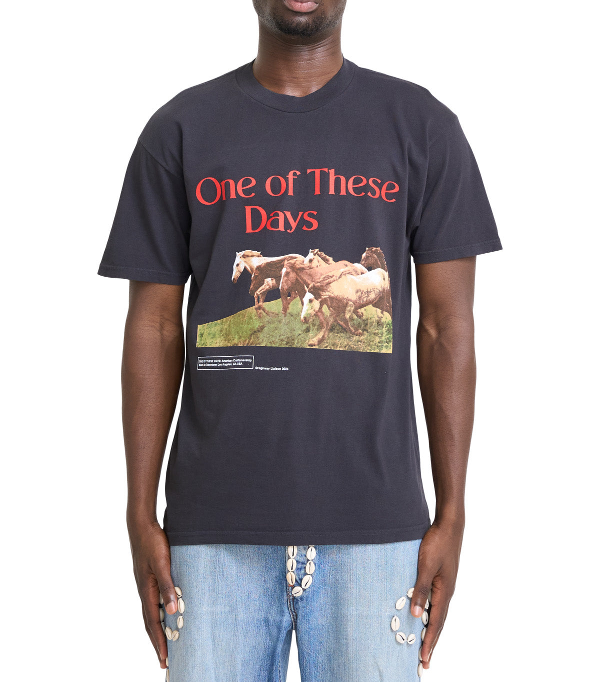 One Of These Days Wild Horses Short Sleeve T-Shirt Black