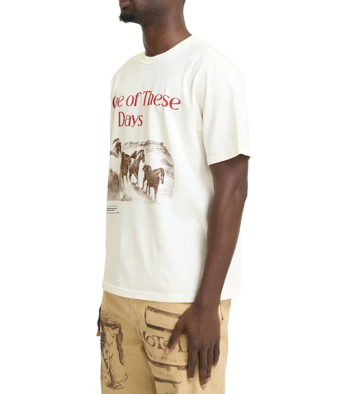 One Of These Days Glad You're Here With Me T-Shirt Bone