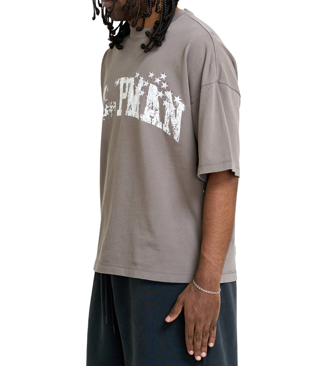 Jordan x IH T-Shirt Stone