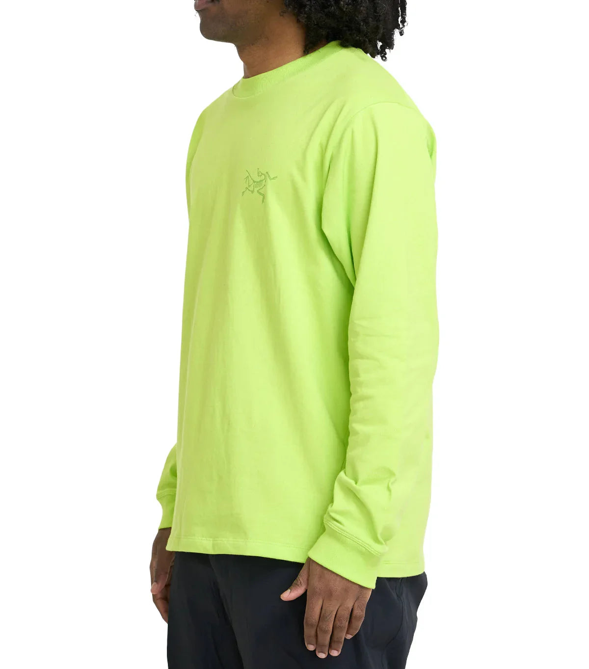 Arc'Teryx Kragg T-Shirt Mantis