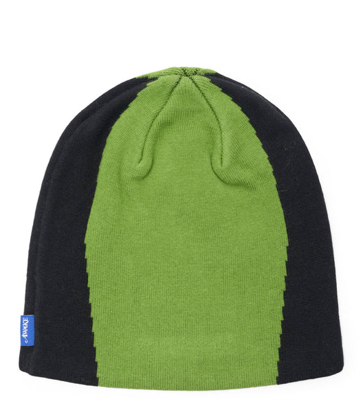 Awake NY Panel Beanie Green