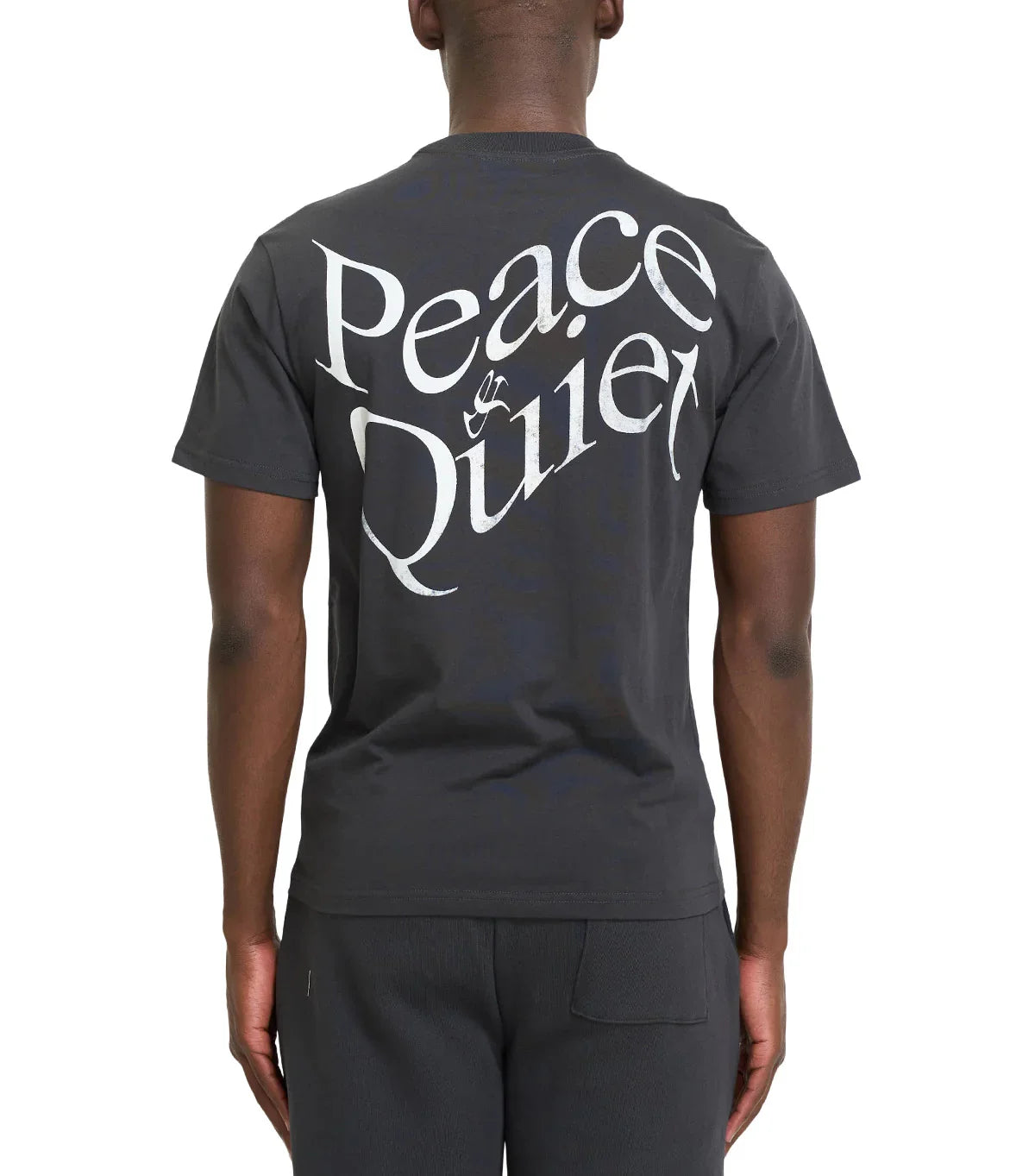Museum of Peace & Quiet Warped T-Shirt Black