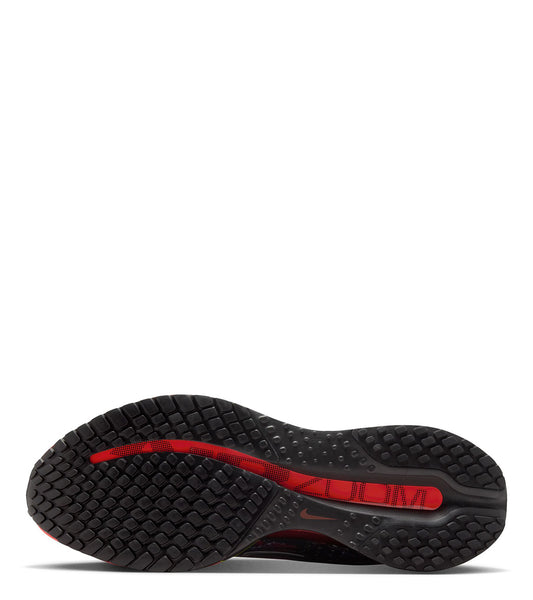 Nike Pegasus Premium Multi Silver